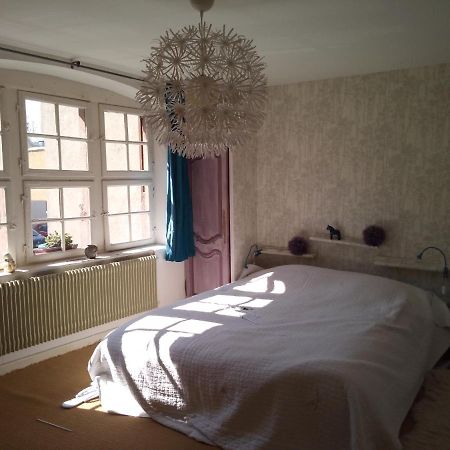 Le Baudinot Apartment Selestat Bagian luar foto