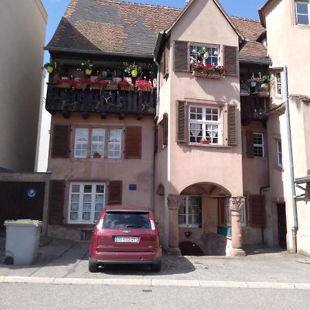 Le Baudinot Apartment Selestat Bagian luar foto