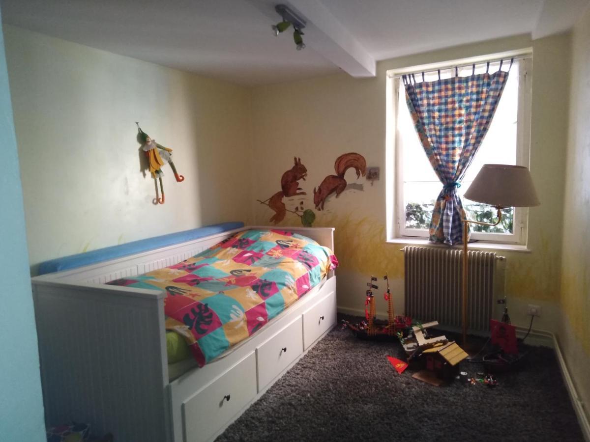 Le Baudinot Apartment Selestat Bagian luar foto