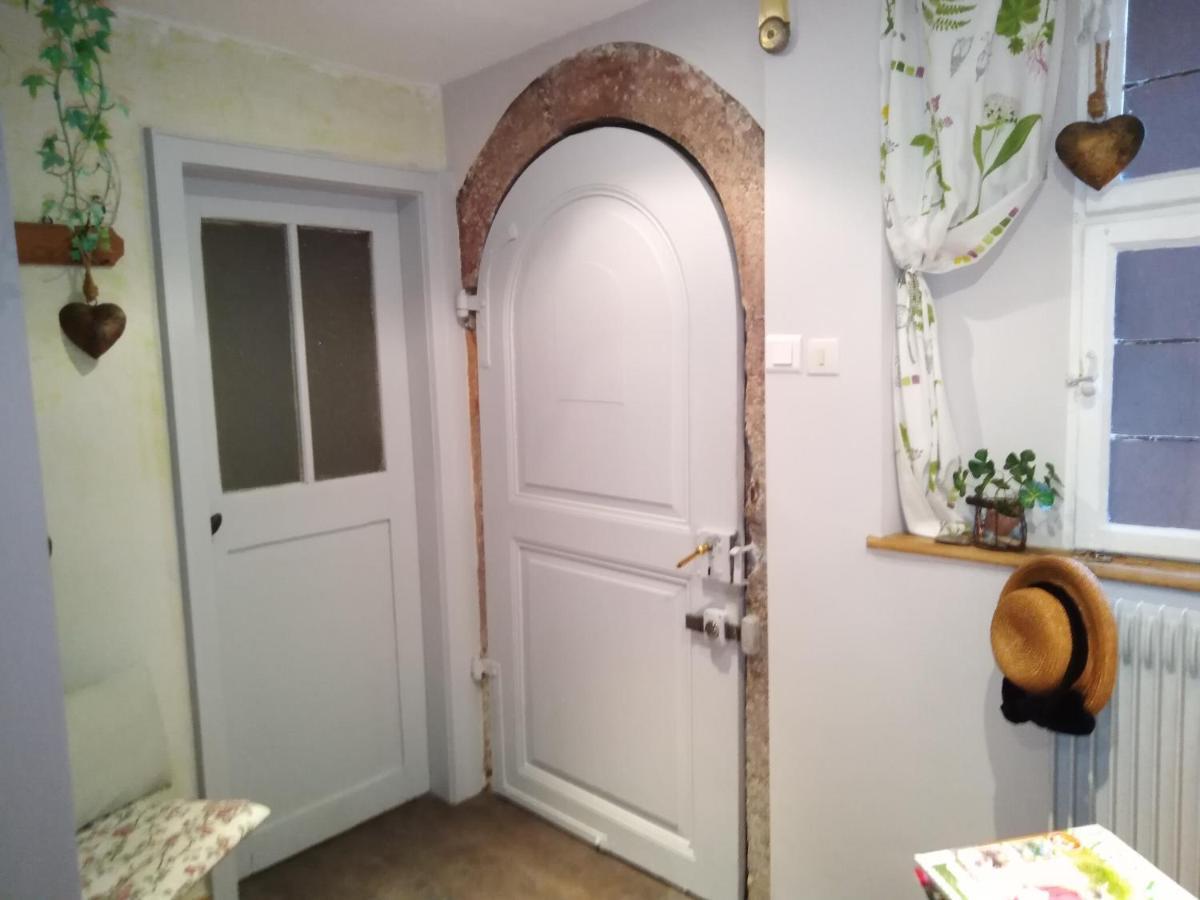 Le Baudinot Apartment Selestat Bagian luar foto