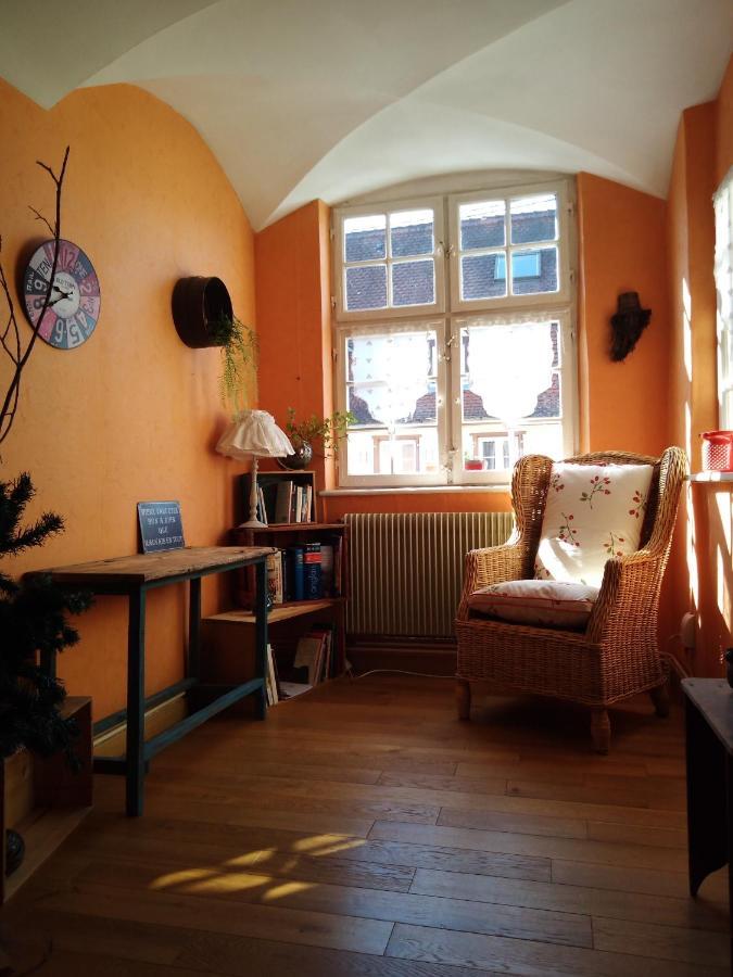 Le Baudinot Apartment Selestat Bagian luar foto